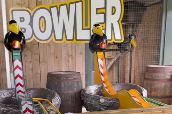 Crowler Bowler video cut photo2