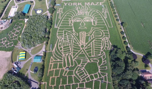 York Maze aerial 2023 landscape
